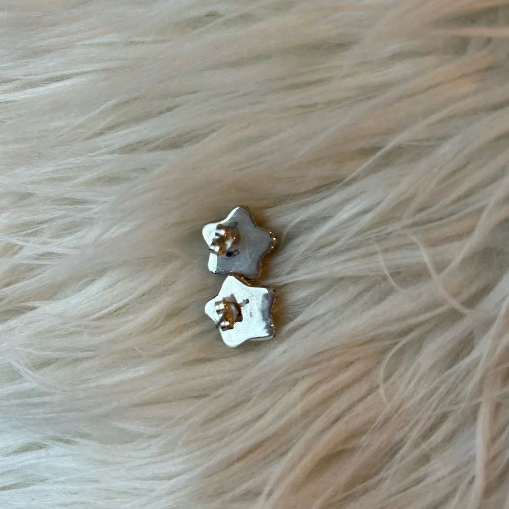 Sterling Silver Wild Horse Star Post Earrings - Picture 4 of 4